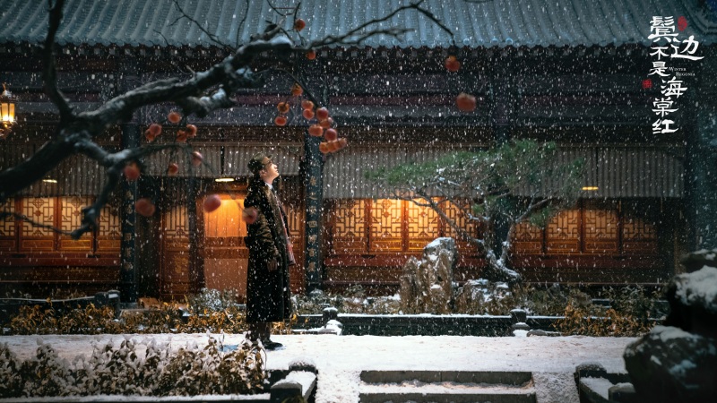 原神魈怎么配队 魈配队阵容推荐